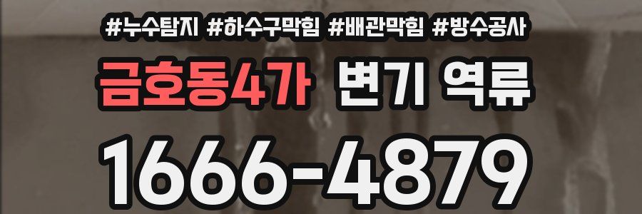금호동4가 변기 역류