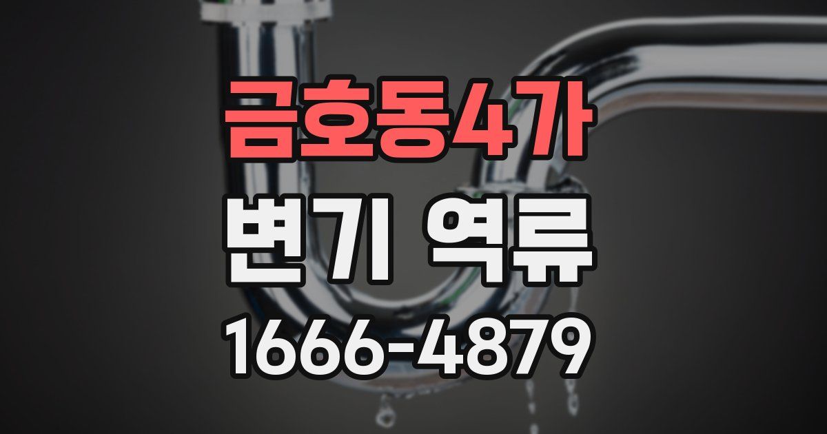 금호동4가 변기 역류