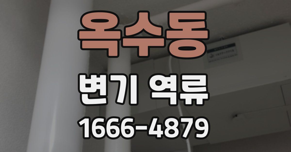 옥수동 변기 역류
