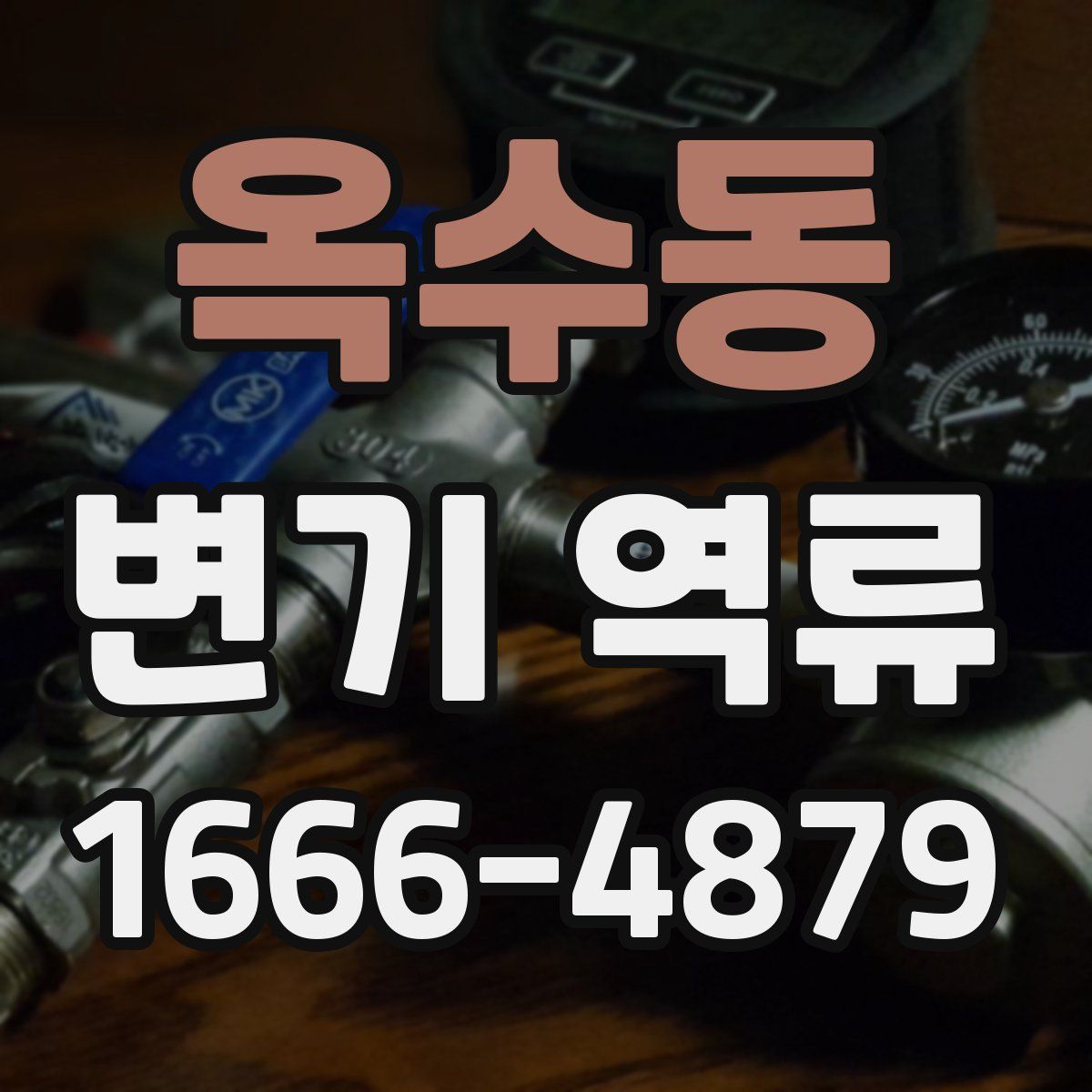 옥수동 변기 역류