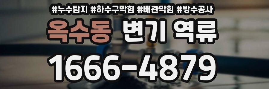 옥수동 변기 역류
