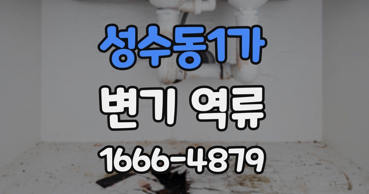 성수동1가 변기 역류