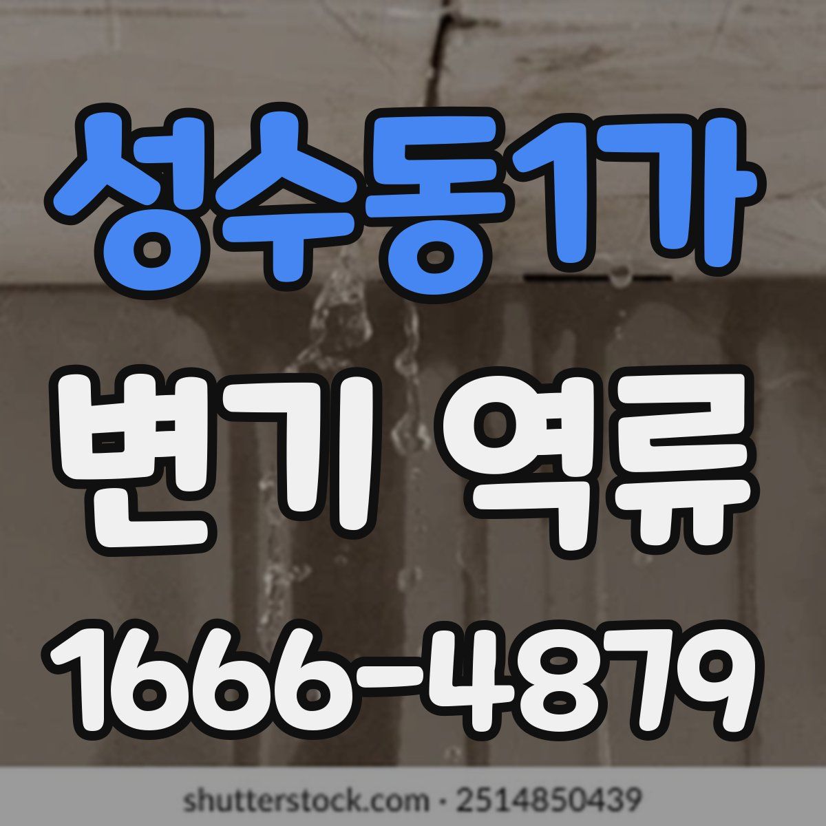 성수동1가 변기 역류
