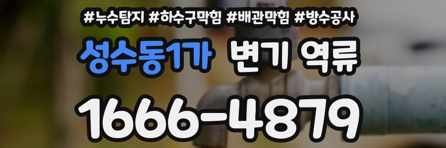 성수동1가 변기 역류