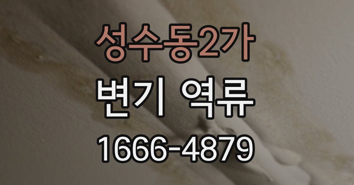 성수동2가 변기 역류