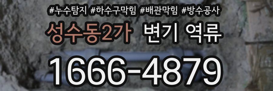 성수동2가 변기 역류