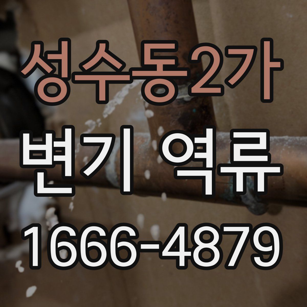 성수동2가 변기 역류