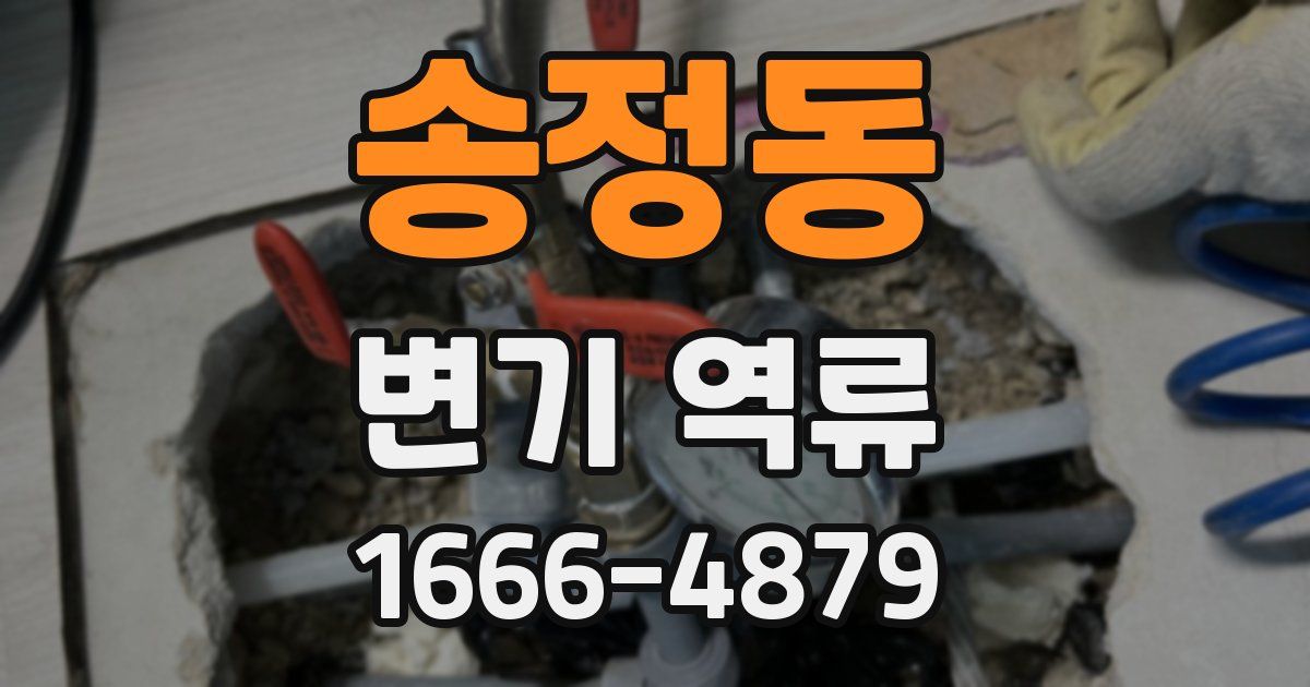 송정동 변기 역류
