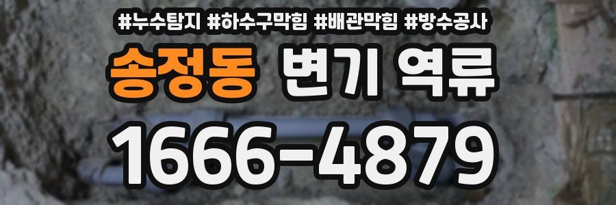 송정동 변기 역류