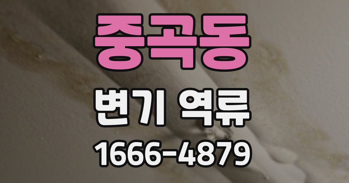 중곡동 변기 역류