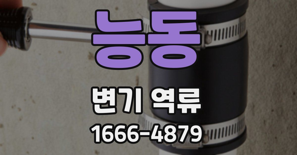 능동 변기 역류