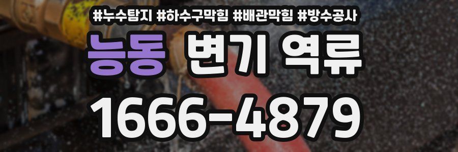 능동 변기 역류