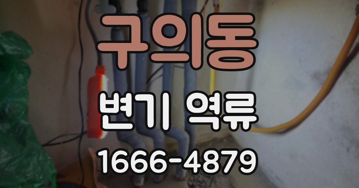 구의동 변기 역류