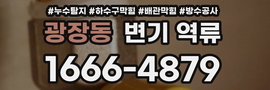 광장동 변기 역류