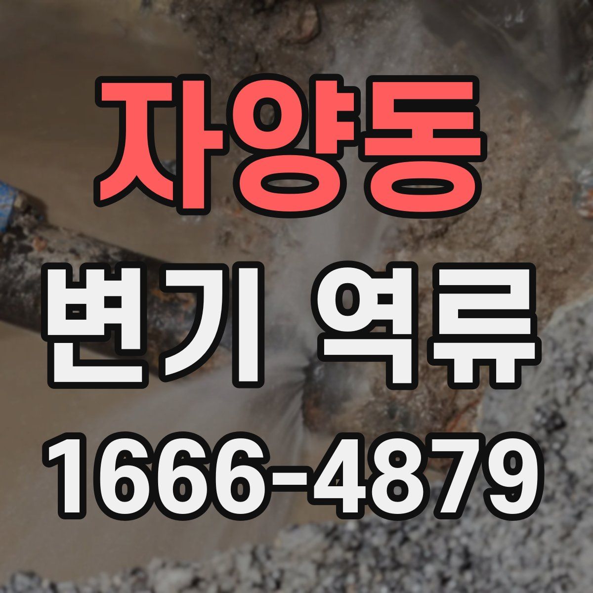 자양동 변기 역류