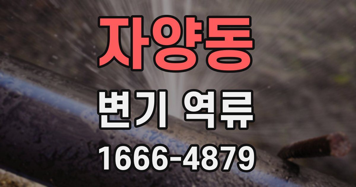 자양동 변기 역류