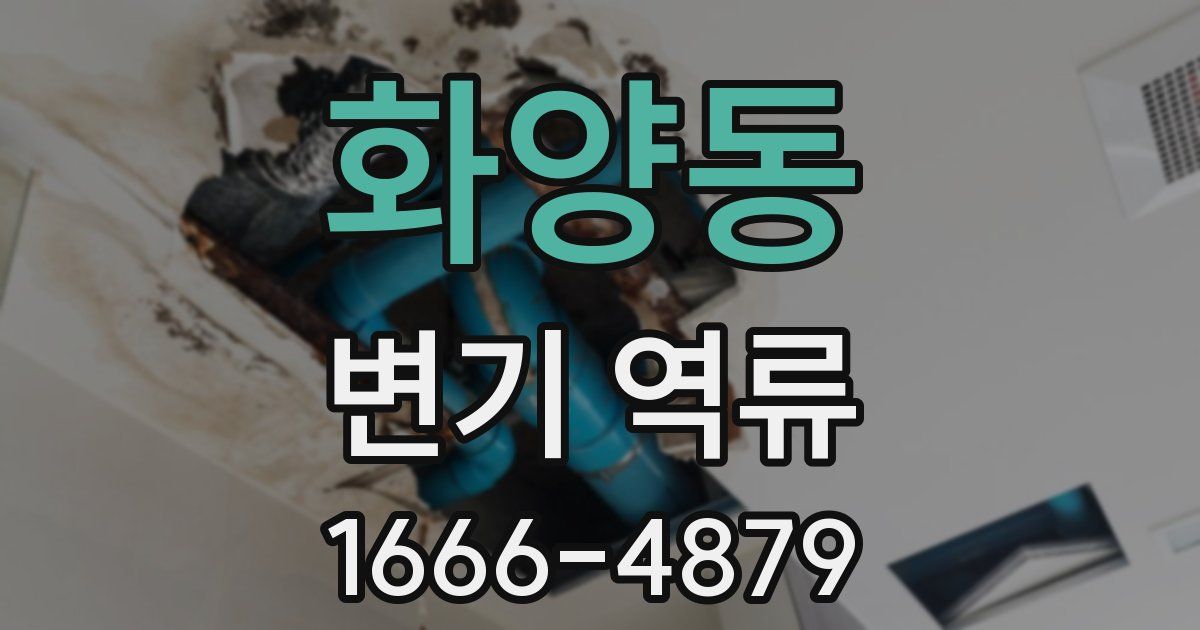 화양동 변기 역류