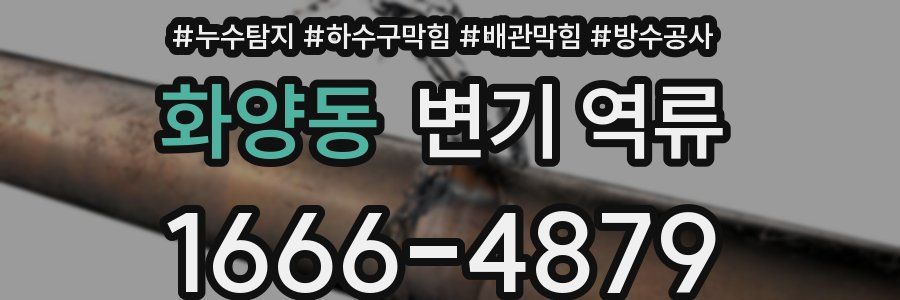 화양동 변기 역류