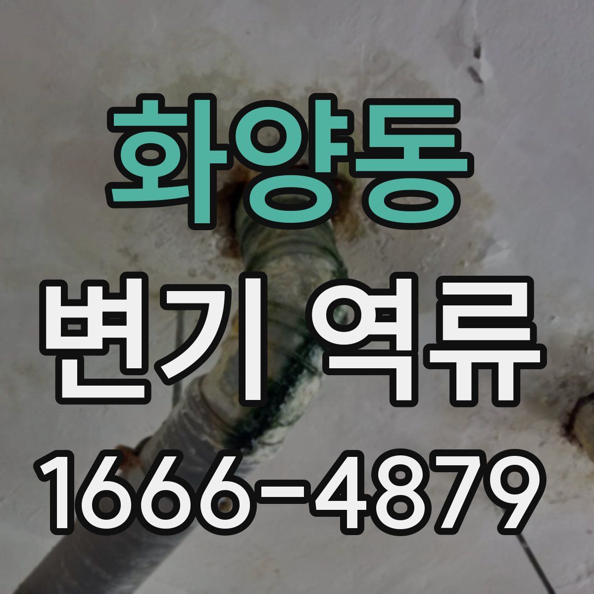 화양동 변기 역류