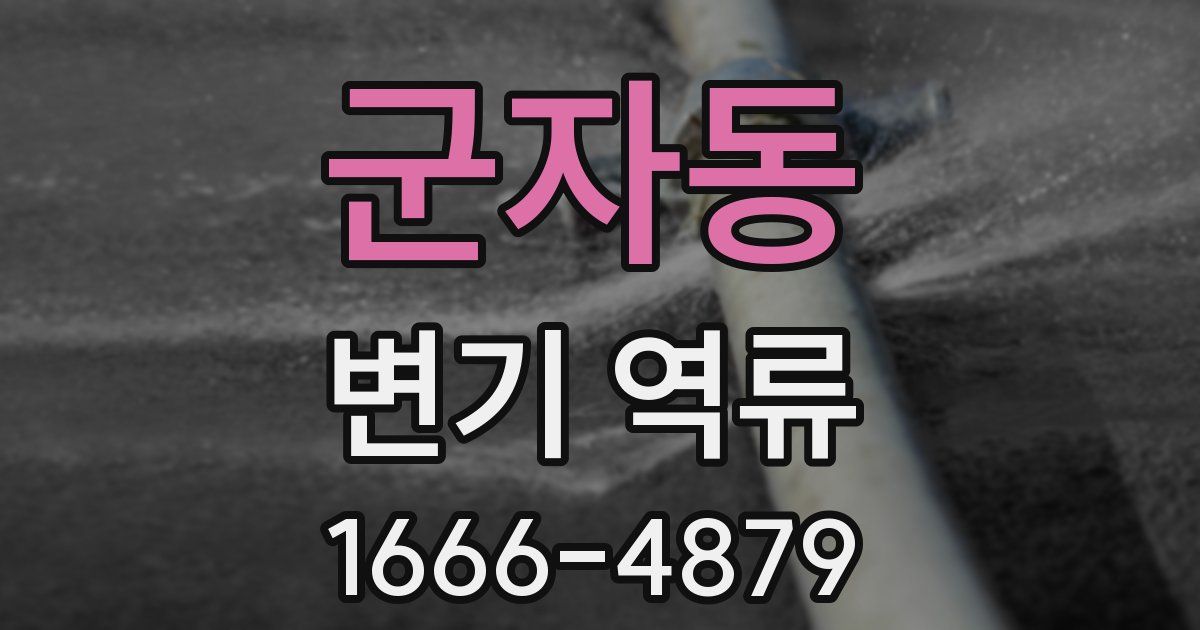 군자동 변기 역류