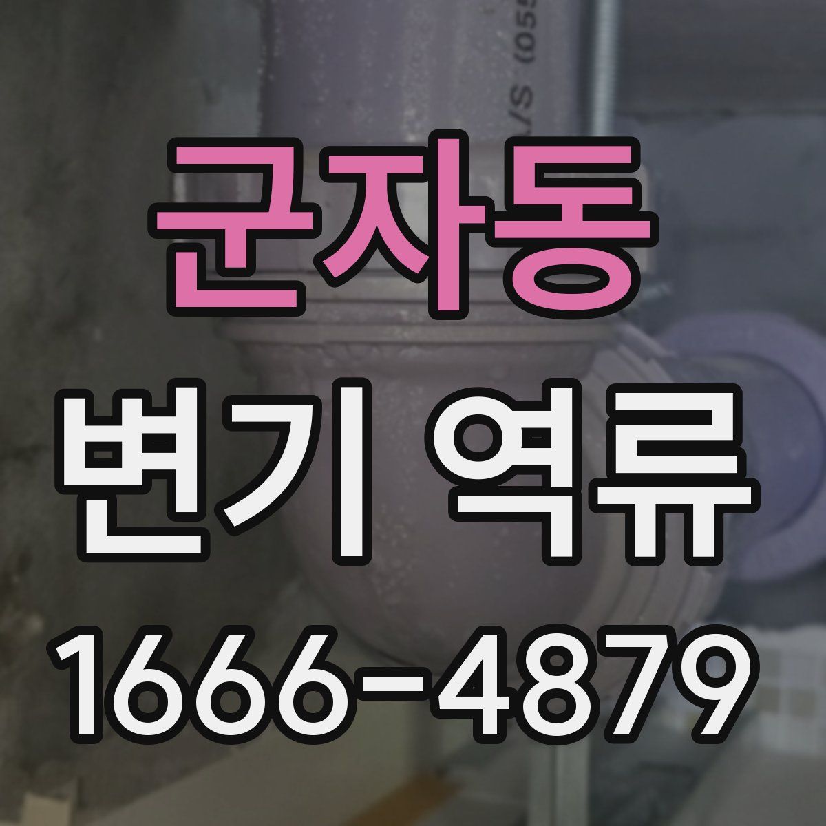 군자동 변기 역류