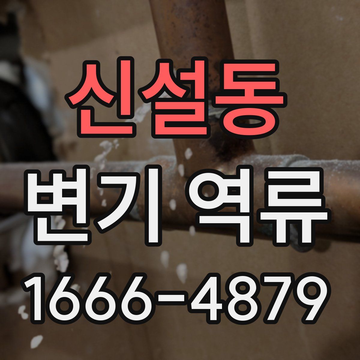 신설동 변기 역류
