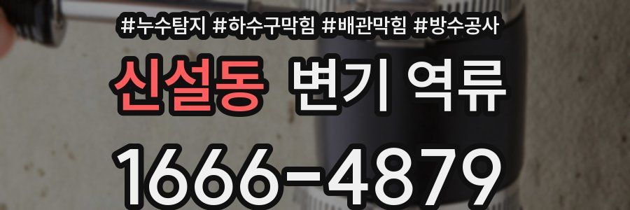 신설동 변기 역류
