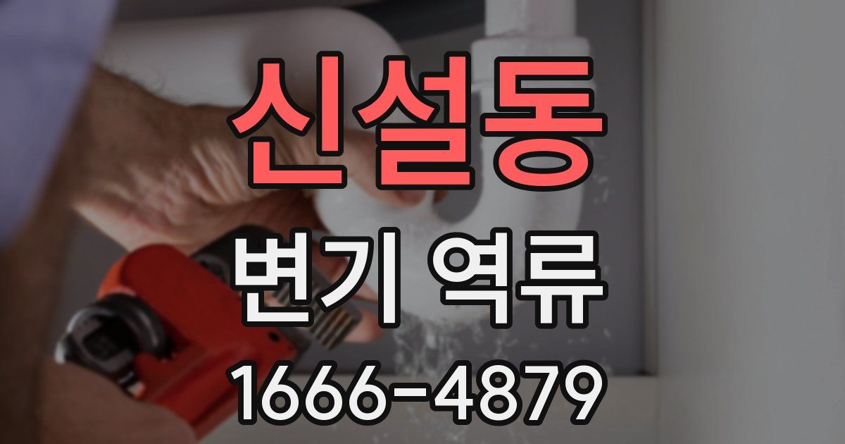신설동 변기 역류
