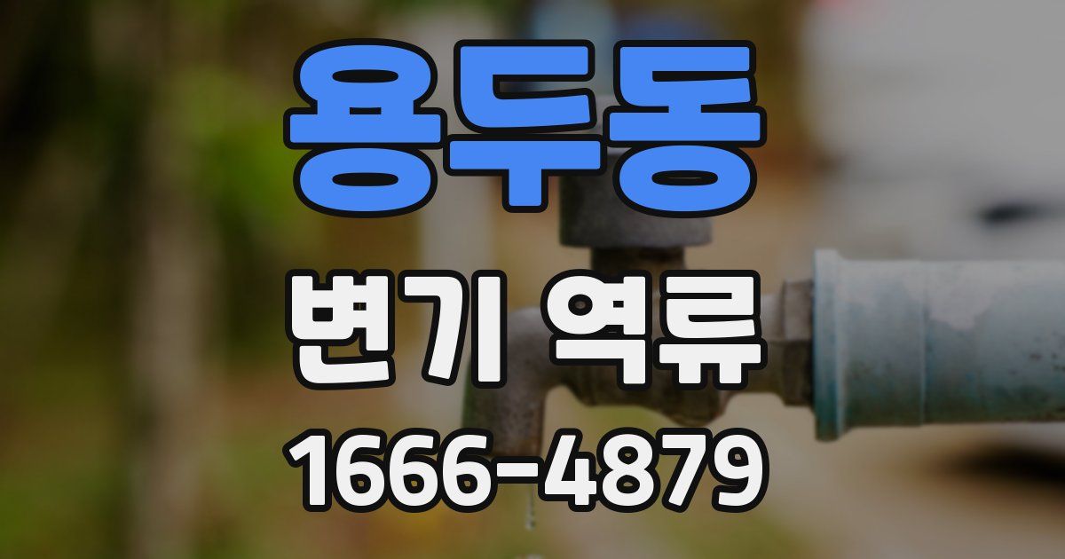 용두동 변기 역류