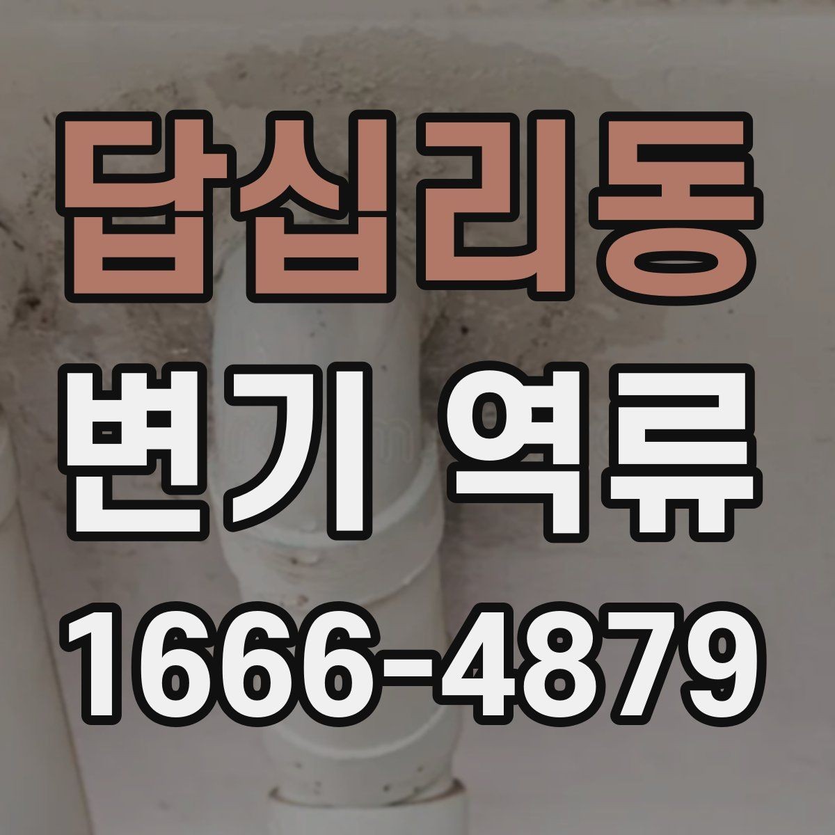 답십리동 변기 역류 증상이 가벼워 보여도 주의할 이유