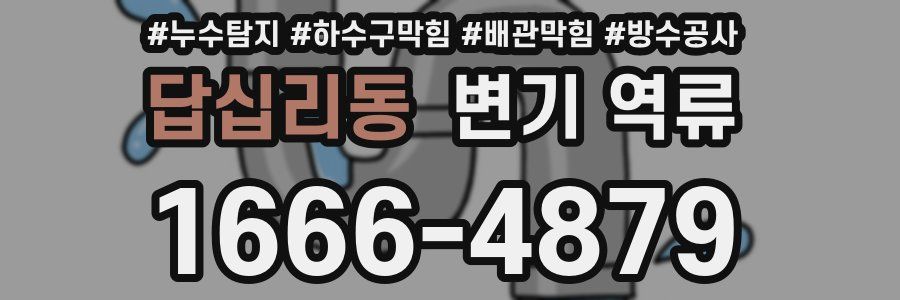 답십리동 변기 역류