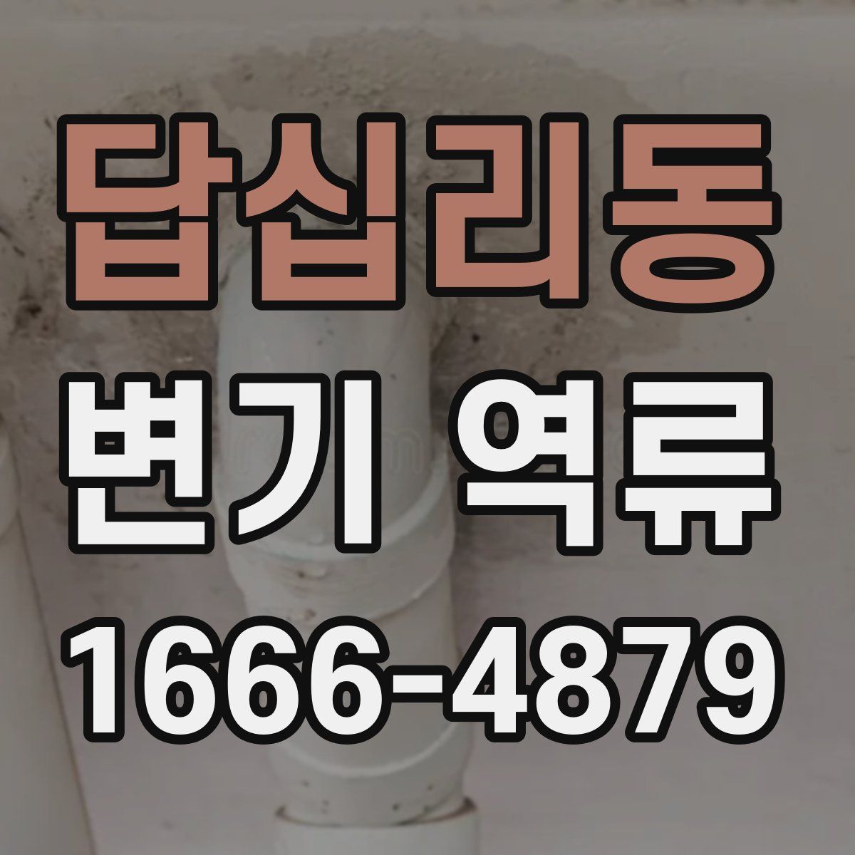 답십리동 변기 역류