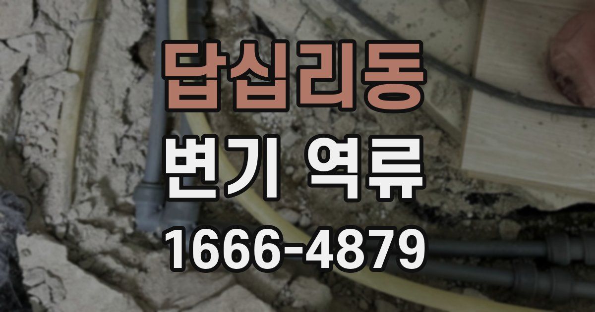 답십리동 변기 역류