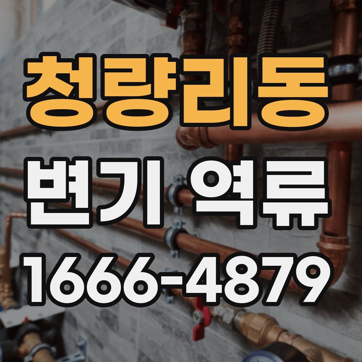 청량리동 변기 역류