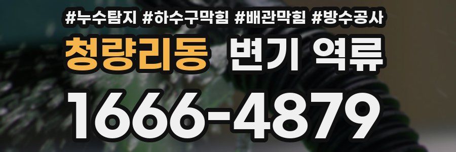 청량리동 변기 역류