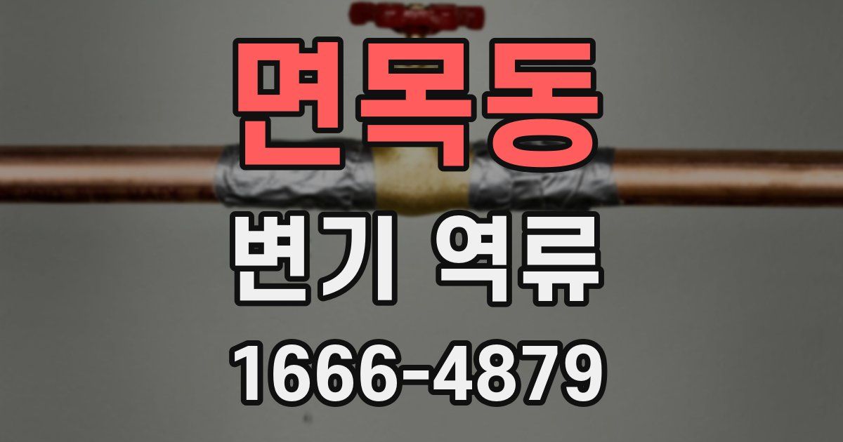 면목동 변기 역류