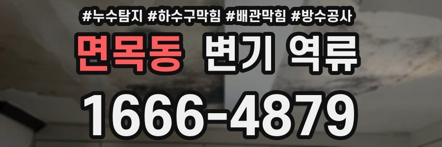 면목동 변기 역류