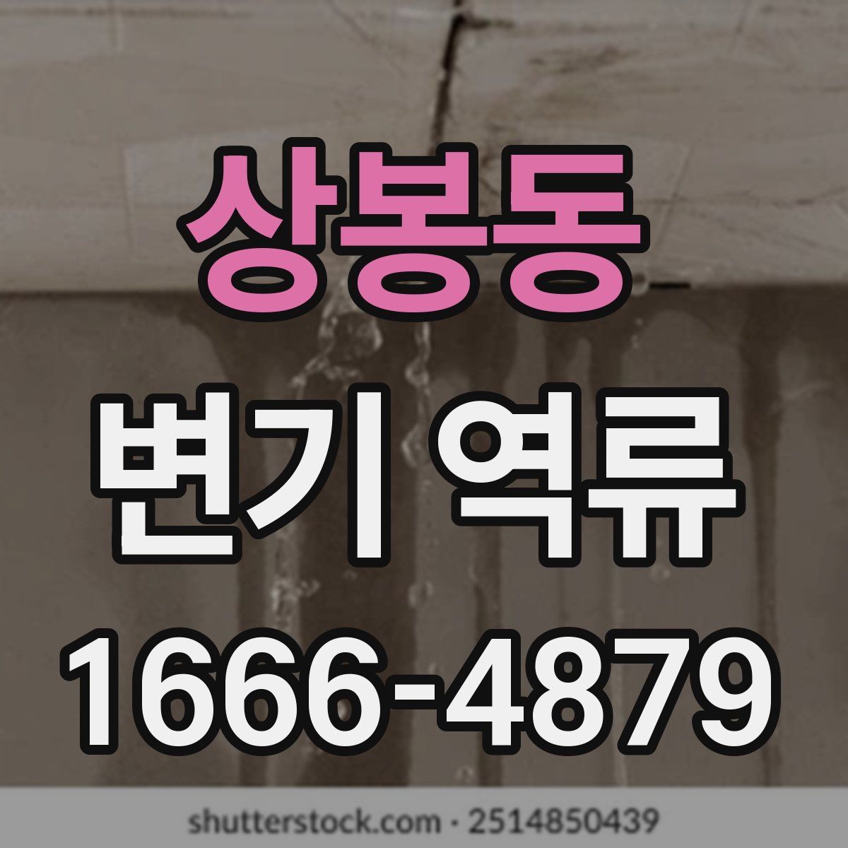 상봉동 변기 역류