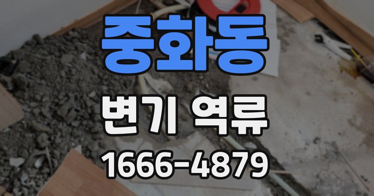 중화동 변기 역류