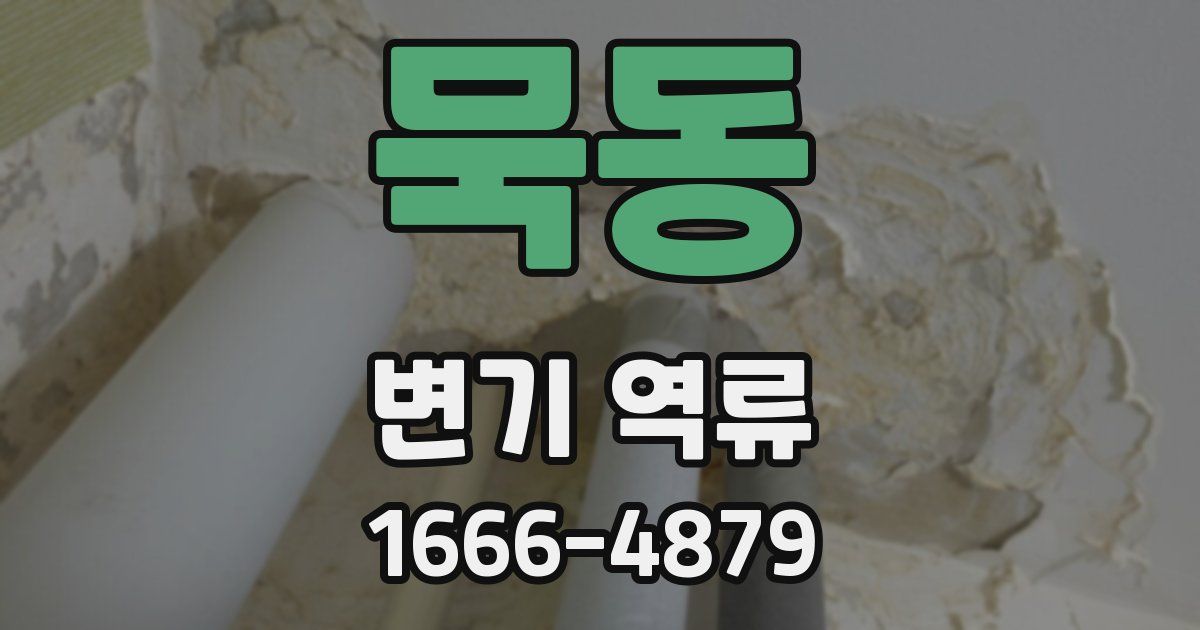 묵동 변기 역류