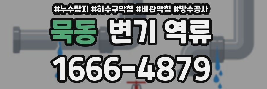 묵동 변기 역류