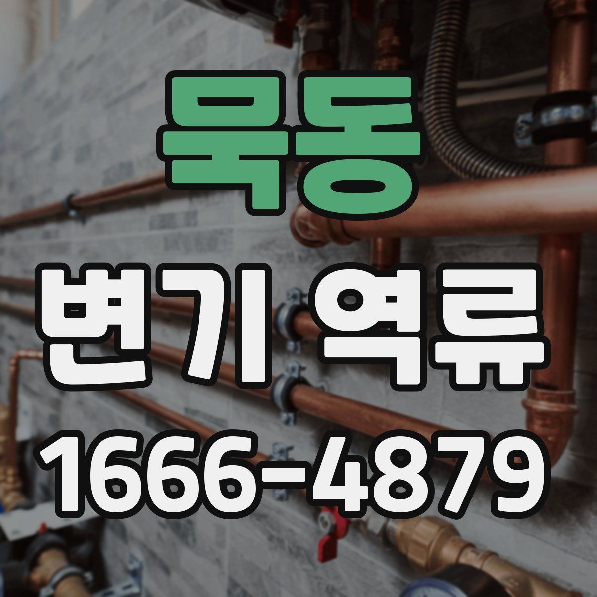묵동 변기 역류