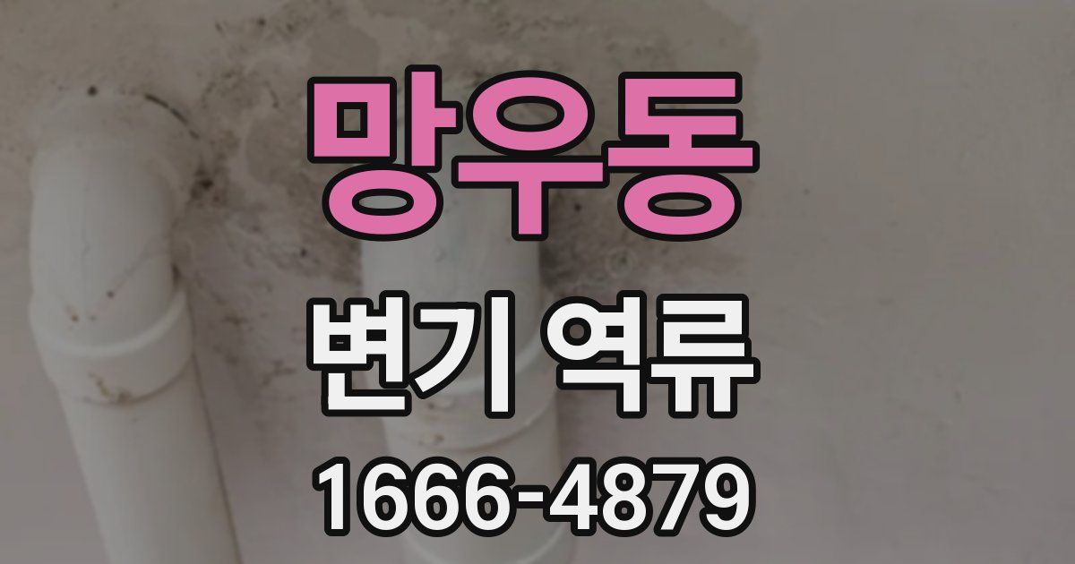 망우동 변기 역류
