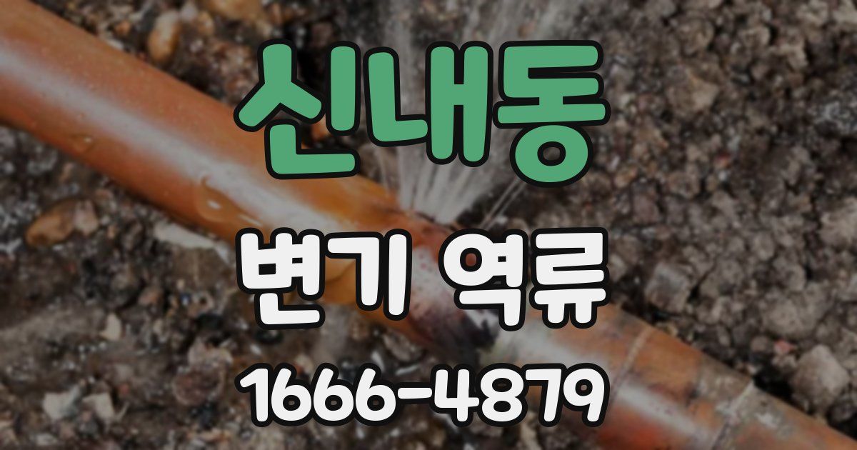 신내동 변기 역류