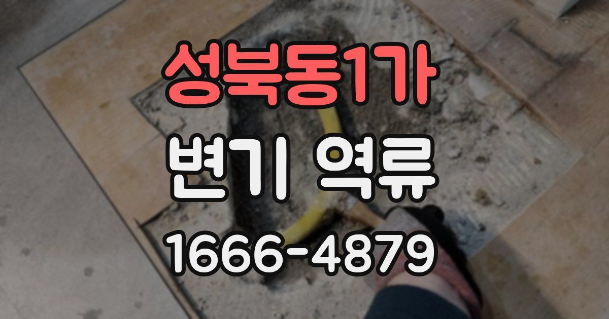 성북동1가 변기 역류