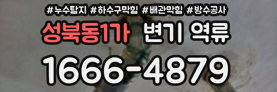 성북동1가 변기 역류