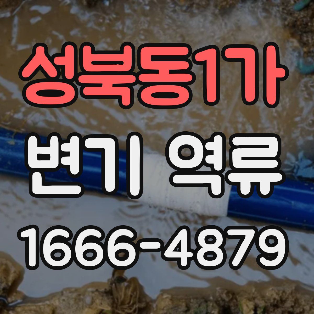 성북동1가 변기 역류