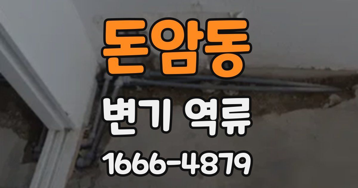 돈암동 변기 역류