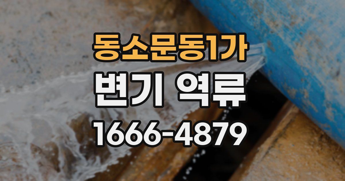 동소문동1가 변기 역류