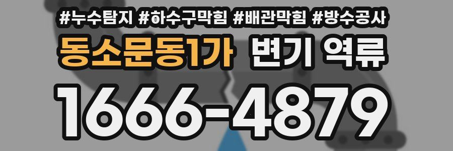 동소문동1가 변기 역류